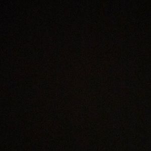 Meet your Posher, Abigail